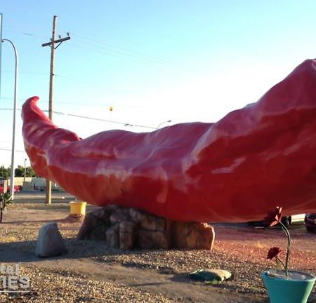 Big Chile Inn & Suites Las Cruces Exteriér fotografie